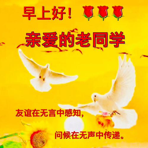 老同学问候祝福图片图片