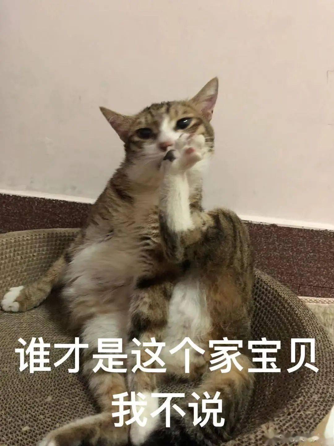 「陳小春夫婦被曝改名催運...」淦，5億家產的好命還用改？! 搞笑整蠱 第15张
