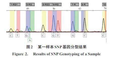 中国优秀柔道运动员爆发力敏感基因位点的确定
