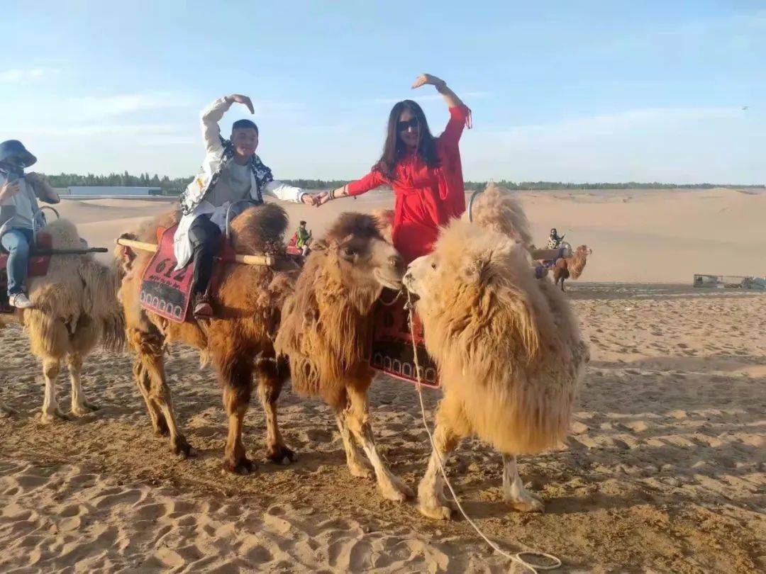 火焰|疫情中火焰蓝这样“秀恩爱”