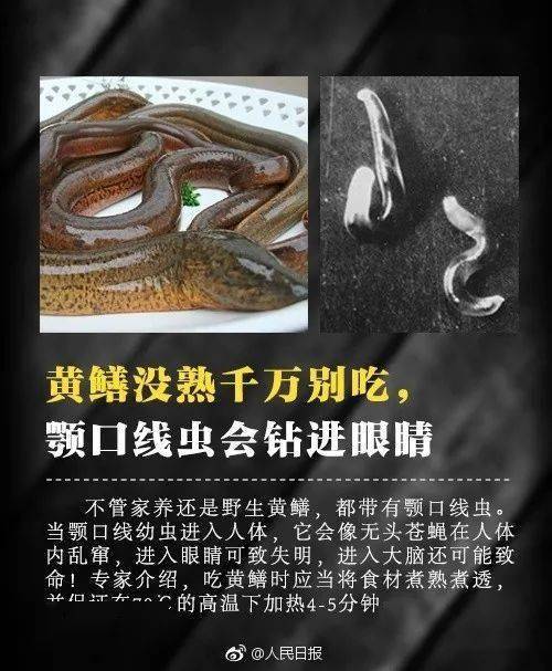 寄生蟲|平時愛吃這些東西！17歲少女腸道內布滿寄生蟲，醫生都嚇一跳