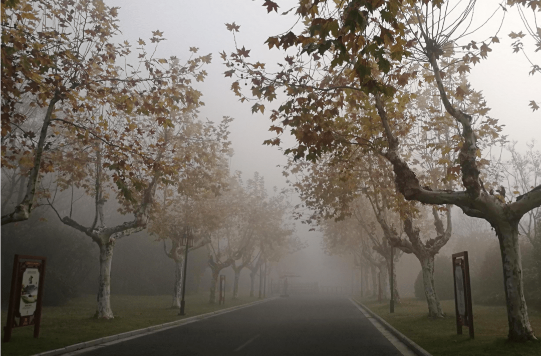 扬州雾景美翻你的朋友圈