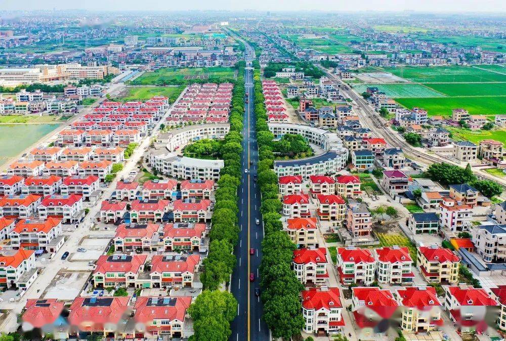 建设试点,首个村级共同富裕指标评价体系的建立地,梅林村的发展历程