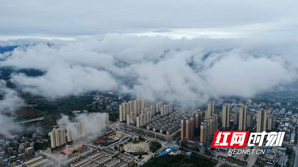 新田县|湖南新田：秋雨过后美如画 云雾缭绕似丹青（组图）