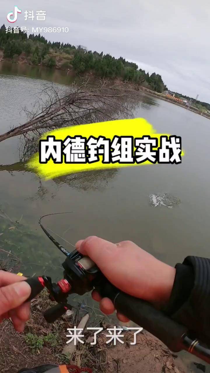 路亚内德钓组内德钓组黑坑鲈鱼中鱼全程记得多停留不要搜太快