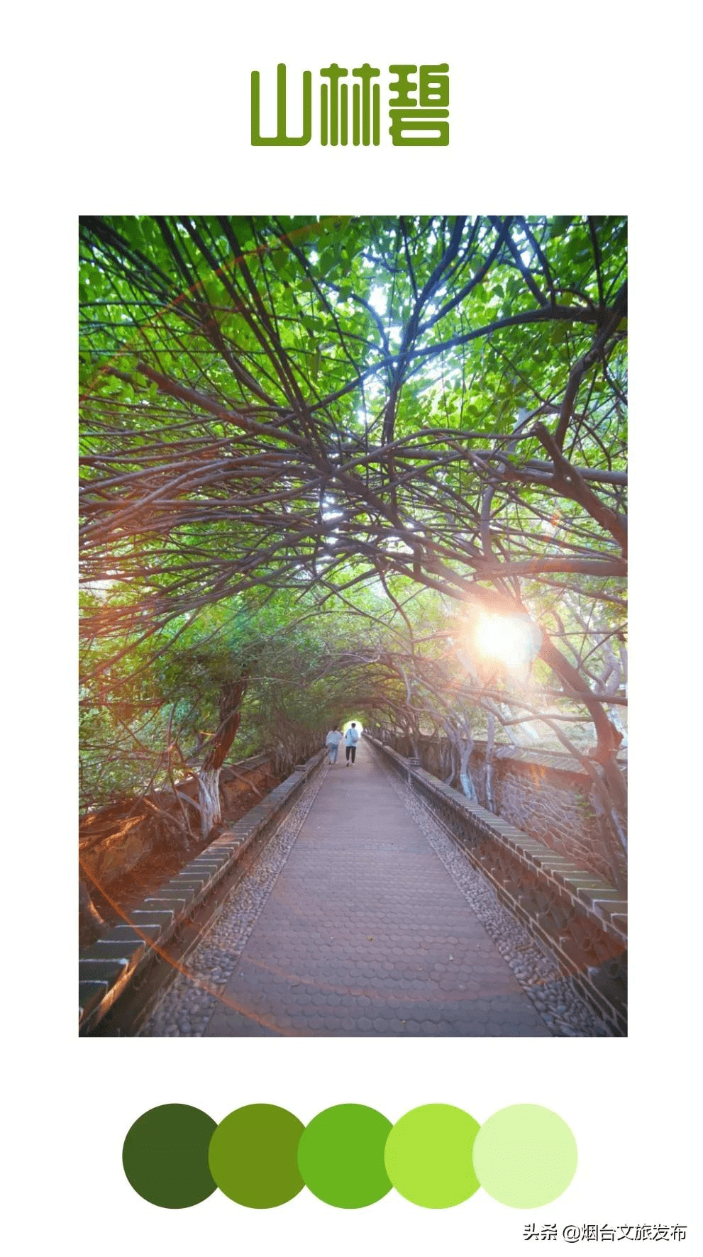 蓝色|镜观烟台 | 太上头！烟台如画秋色美开挂！五彩斑斓让人心醉！