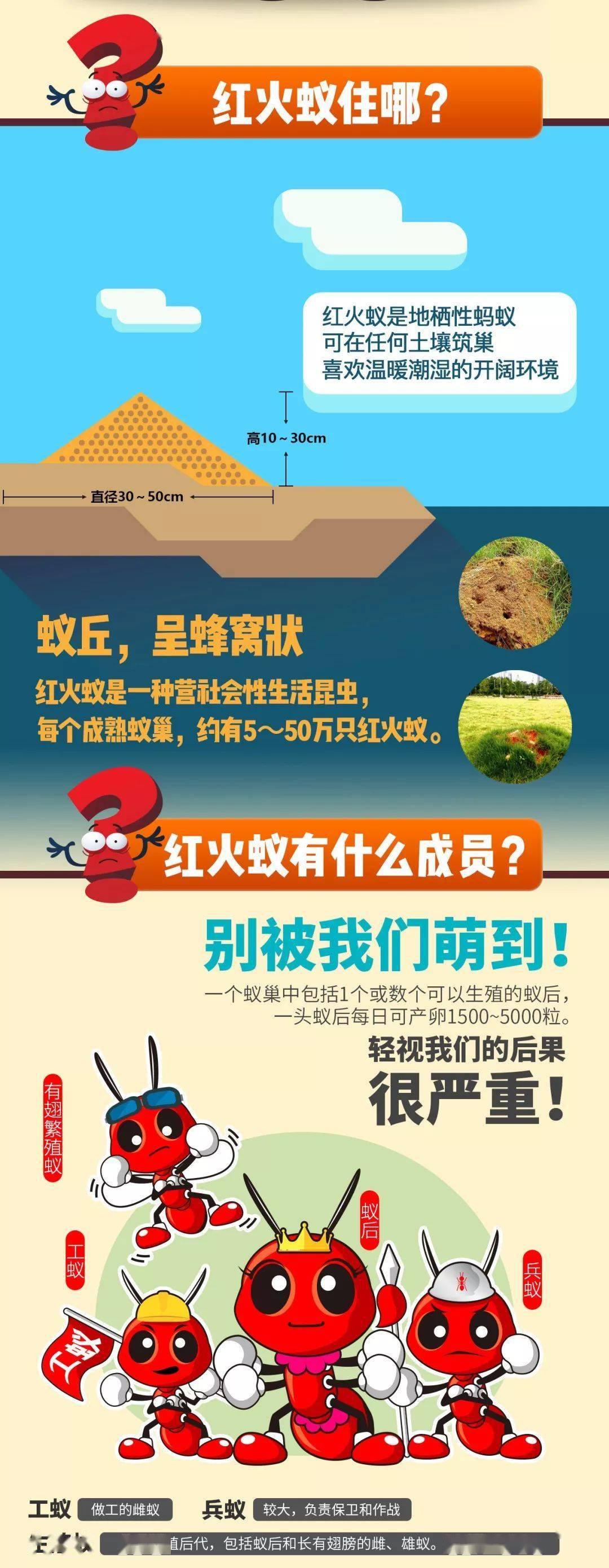 "在日常生活中,若被红火蚁叮咬,可以立即用清水或肥皂水清洗被叮咬