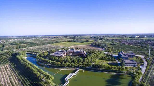 贺兰晴|线上云赏秋——疫情过后,来一场浪漫的酒庄之旅!