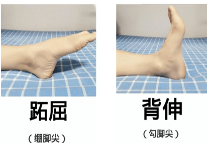 环绕动作:患者躺或坐在床上,下肢伸展,大腿放松,以踝关节为中心点