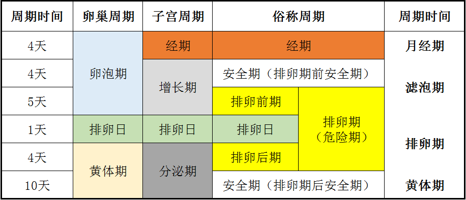 ▲ 女性生理周期计算表（按28天算）28天的生理周期循环反复，许多朋友因