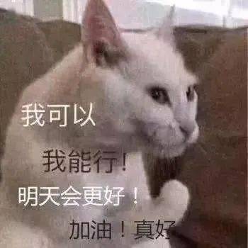 秋招失败怎么办