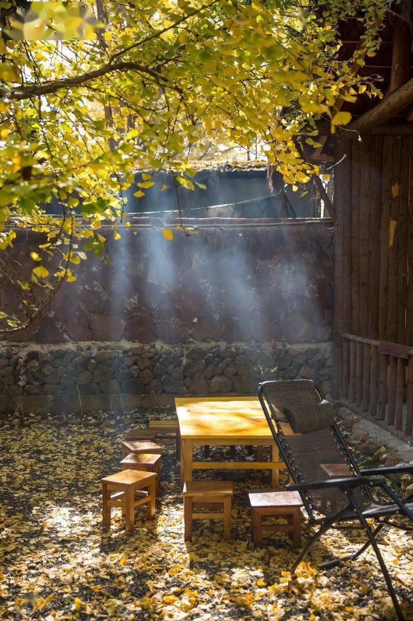 郁达夫故都的秋