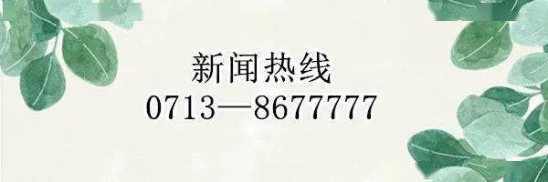 茶叶|【党建引领·乡村振兴】杜皮乡叶家冲村：一片叶富一方人