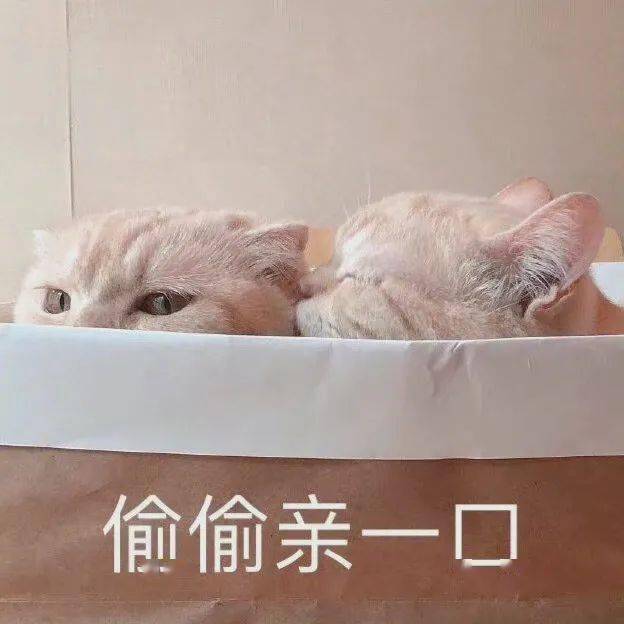 被暗戀10年的人表白是什麼體驗…眼淚，流了下來！ 搞笑整蠱 第1张