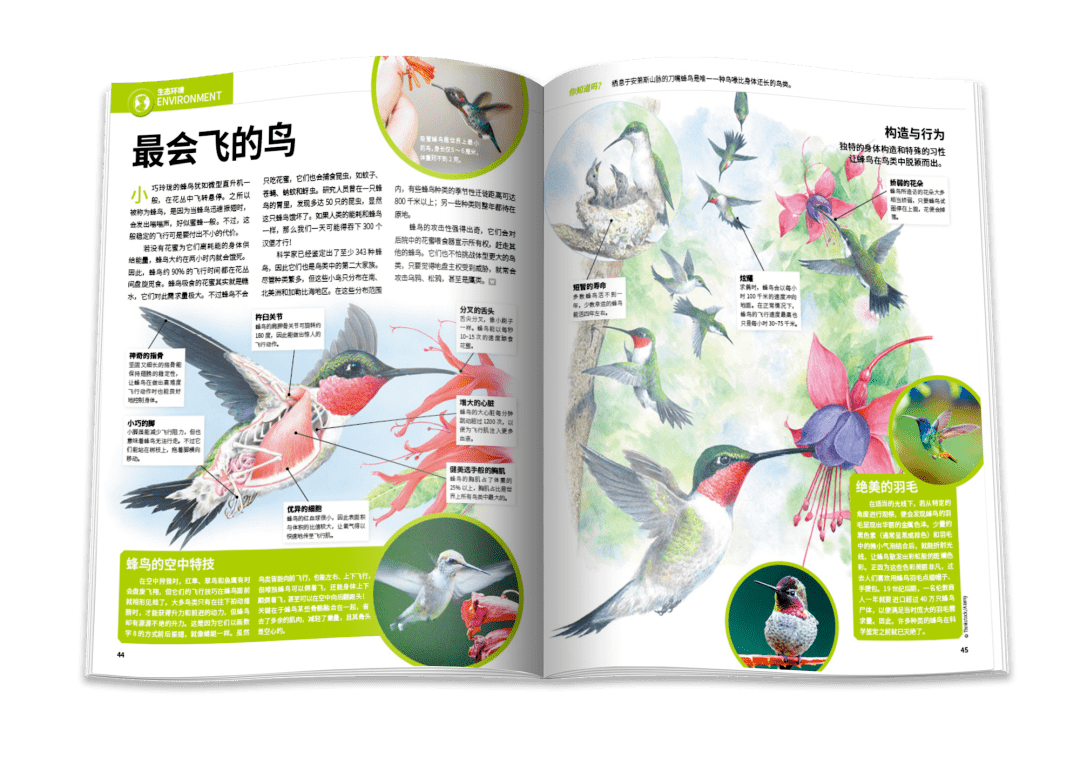 杂志|全球青少年都在看的科学杂志《万物》，承包一整年的科学知识