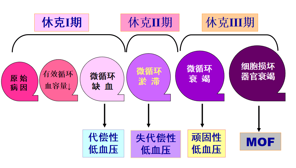 5,病生理机制分期多器官衰竭--2个或2个以上器官功能障碍的综合症.