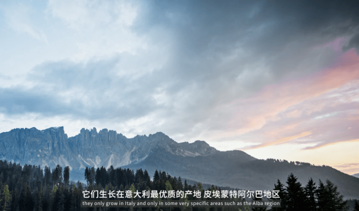 阿尔巴高级料理涂脸上!这体验也太棒了