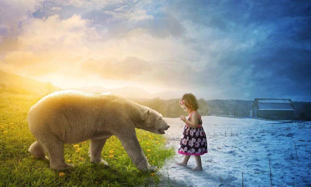 应学员需求,林老师为大家开发了本套《ps高级综合案例实战课程》.