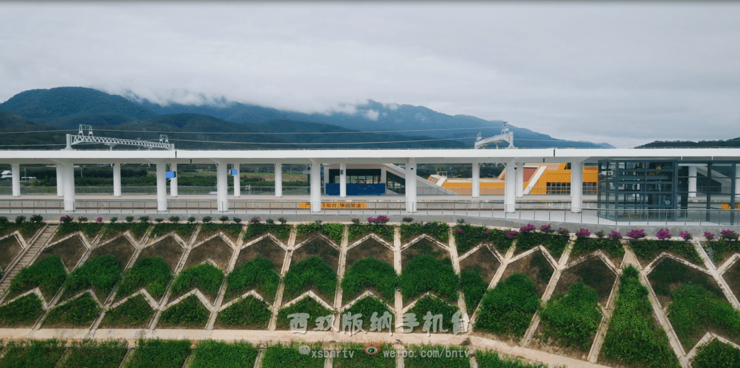 野象谷火车站图片