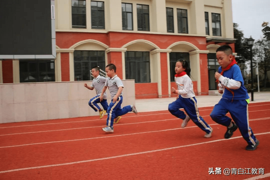 活动课程|课后服务PLUS版本上线 | 一起看青白江校园“趣”生活④