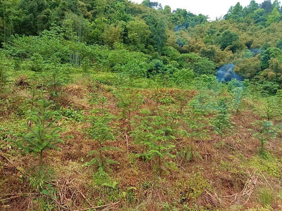 走进美丽乡村——新妙镇中观村