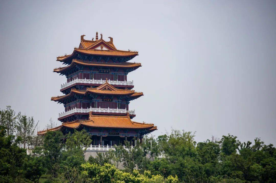 经历|今年的郑州，太难了！