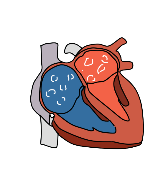 心律|【金沙讲坛】危险的“心动”——房颤
