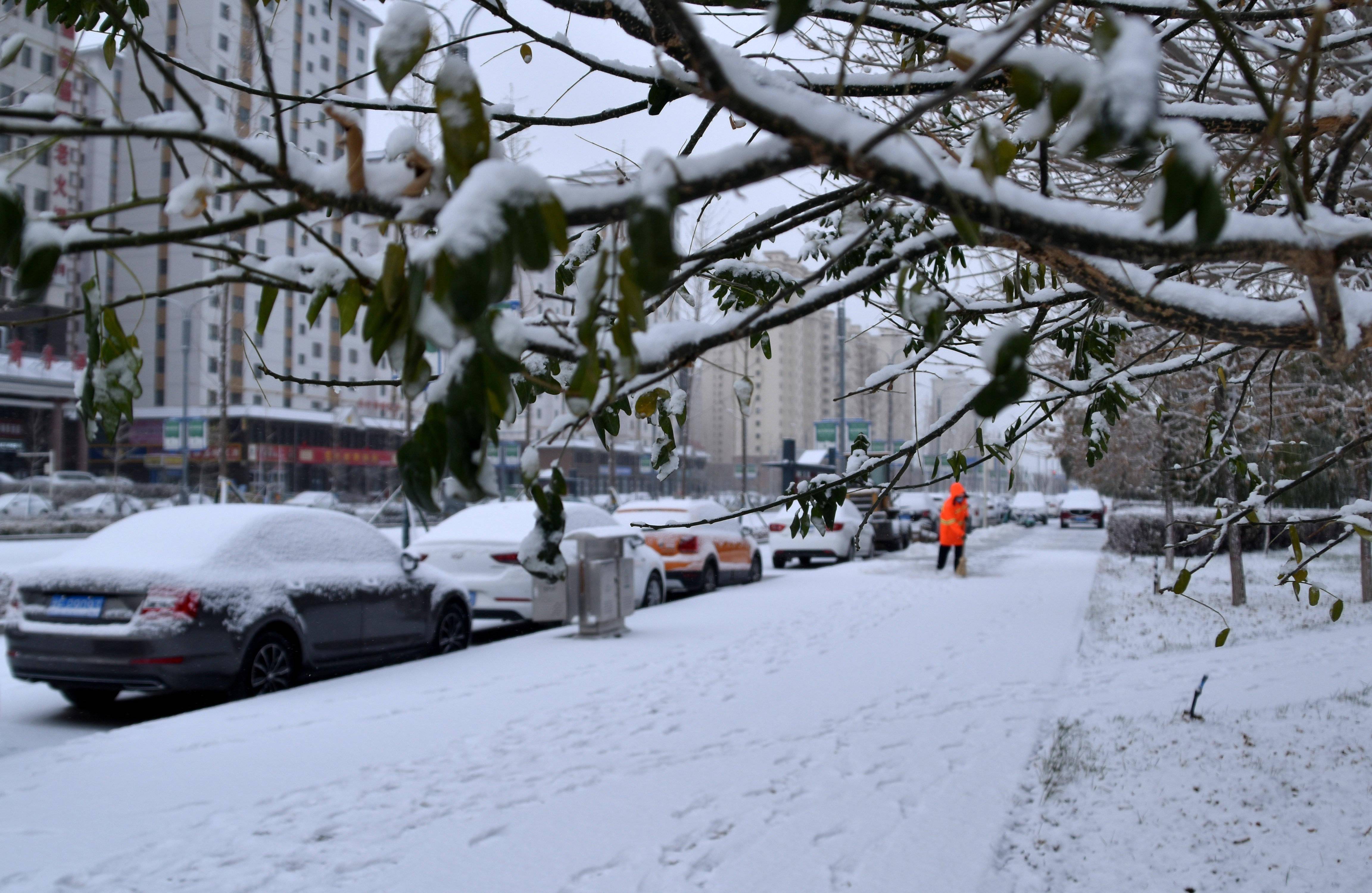 甘肃农村雪景图片