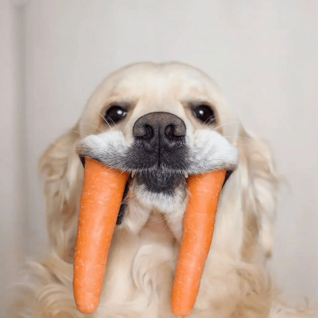 超有趣的搞怪微信头像