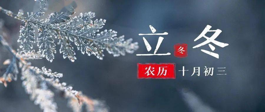 立冬 今朝秋冬始交,寒炉茶烟袅袅