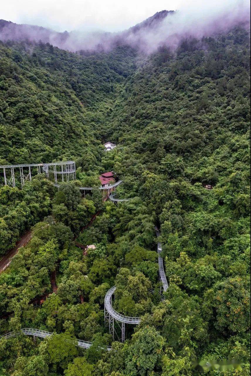 桐君山▼林木蔥鬱,景色秀麗是富春江畔著名的古蹟之一