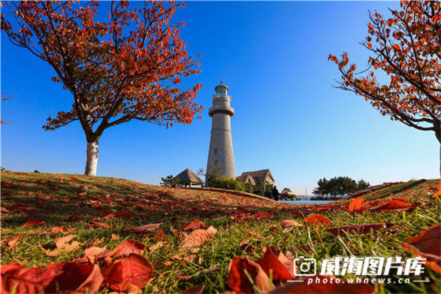 秋日賞紅葉進入黃金月威海這些打卡地太驚豔