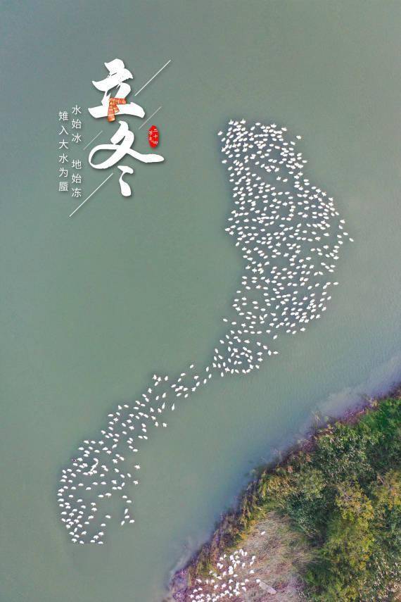 朔风|报节气|朔风雨雪伴冬来