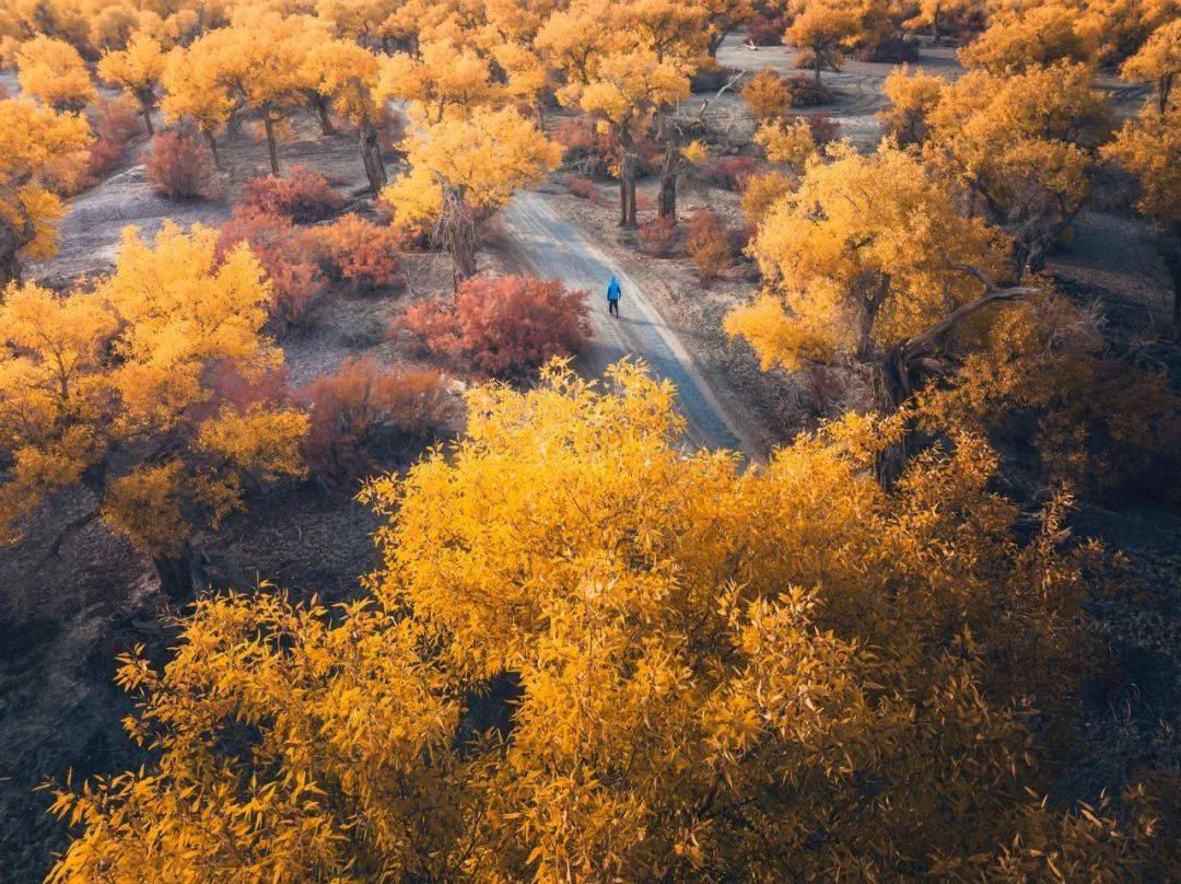 无人机只能航拍吗摄影师如何在空中找到最佳视角