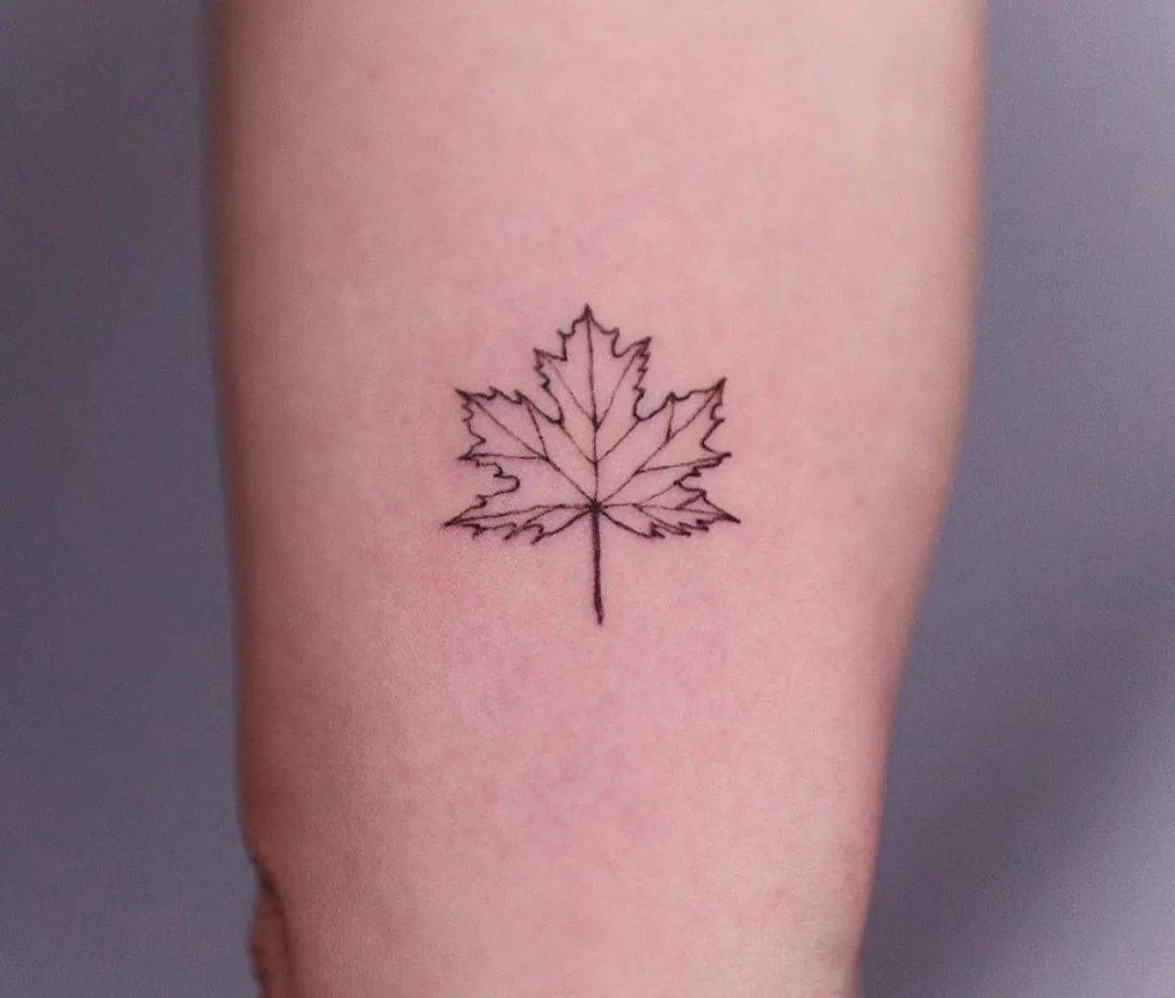 一叶知秋的枫叶纹身_枫树