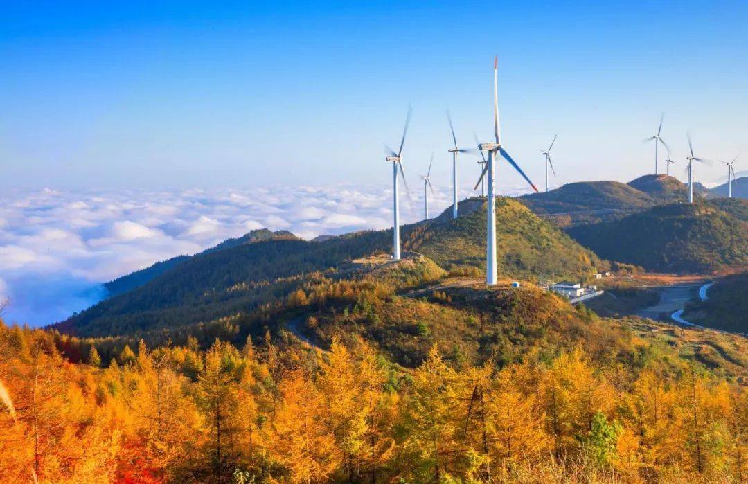 利川齐岳山的秋天,居然是这样的.