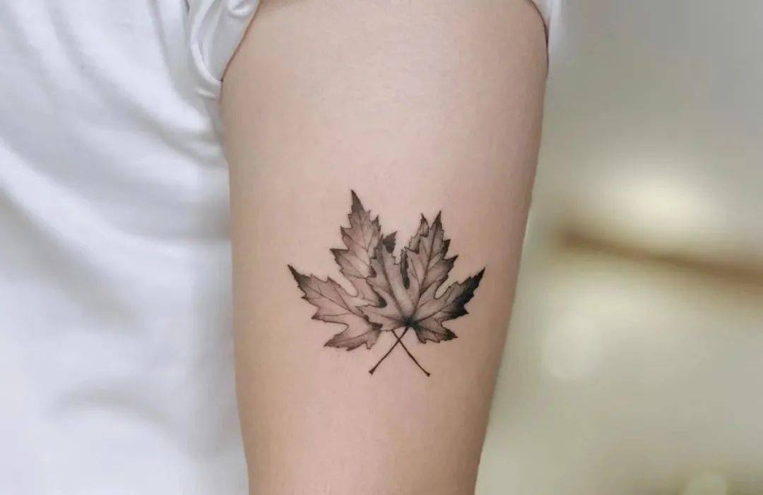 一叶知秋的枫叶纹身_枫树