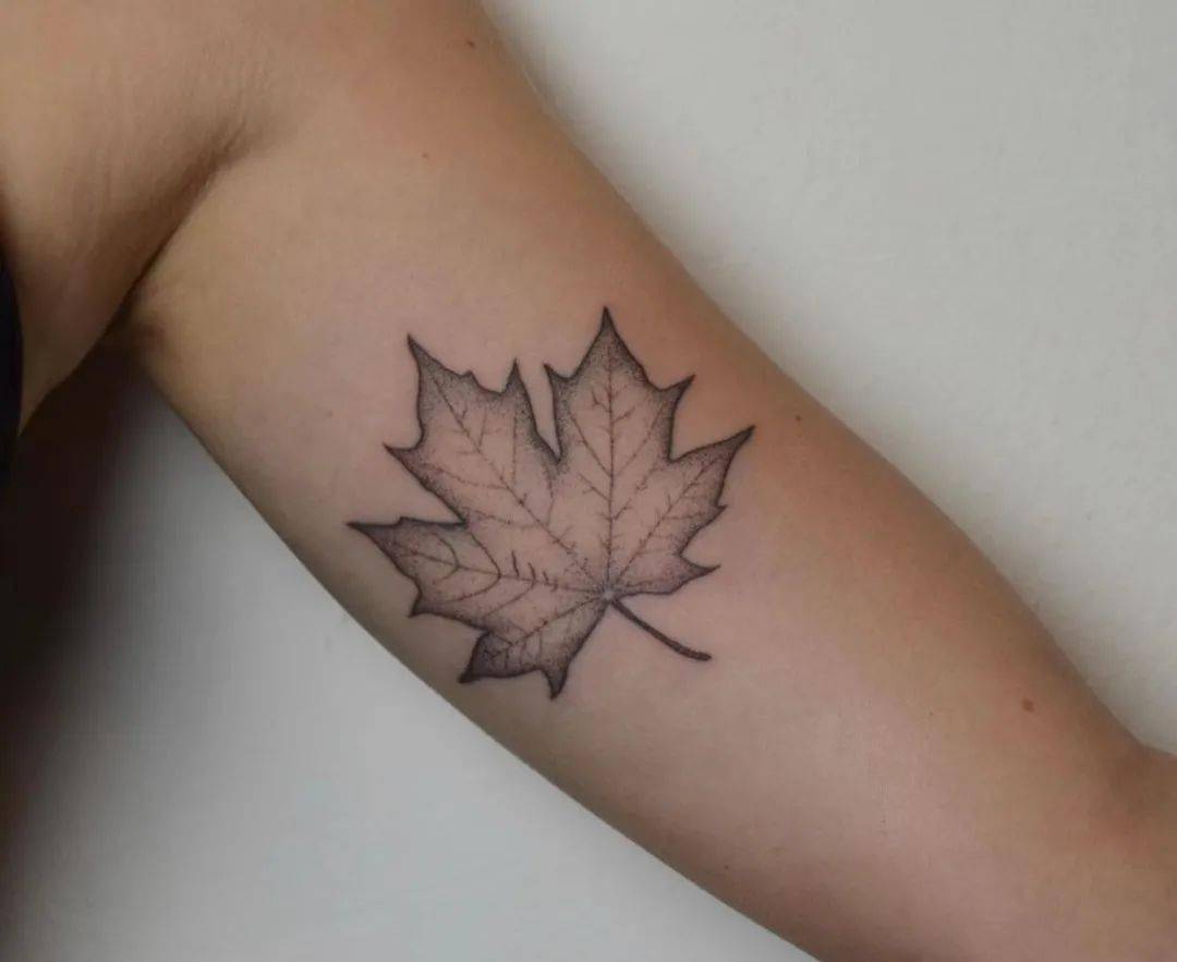 一叶知秋的枫叶纹身_枫树