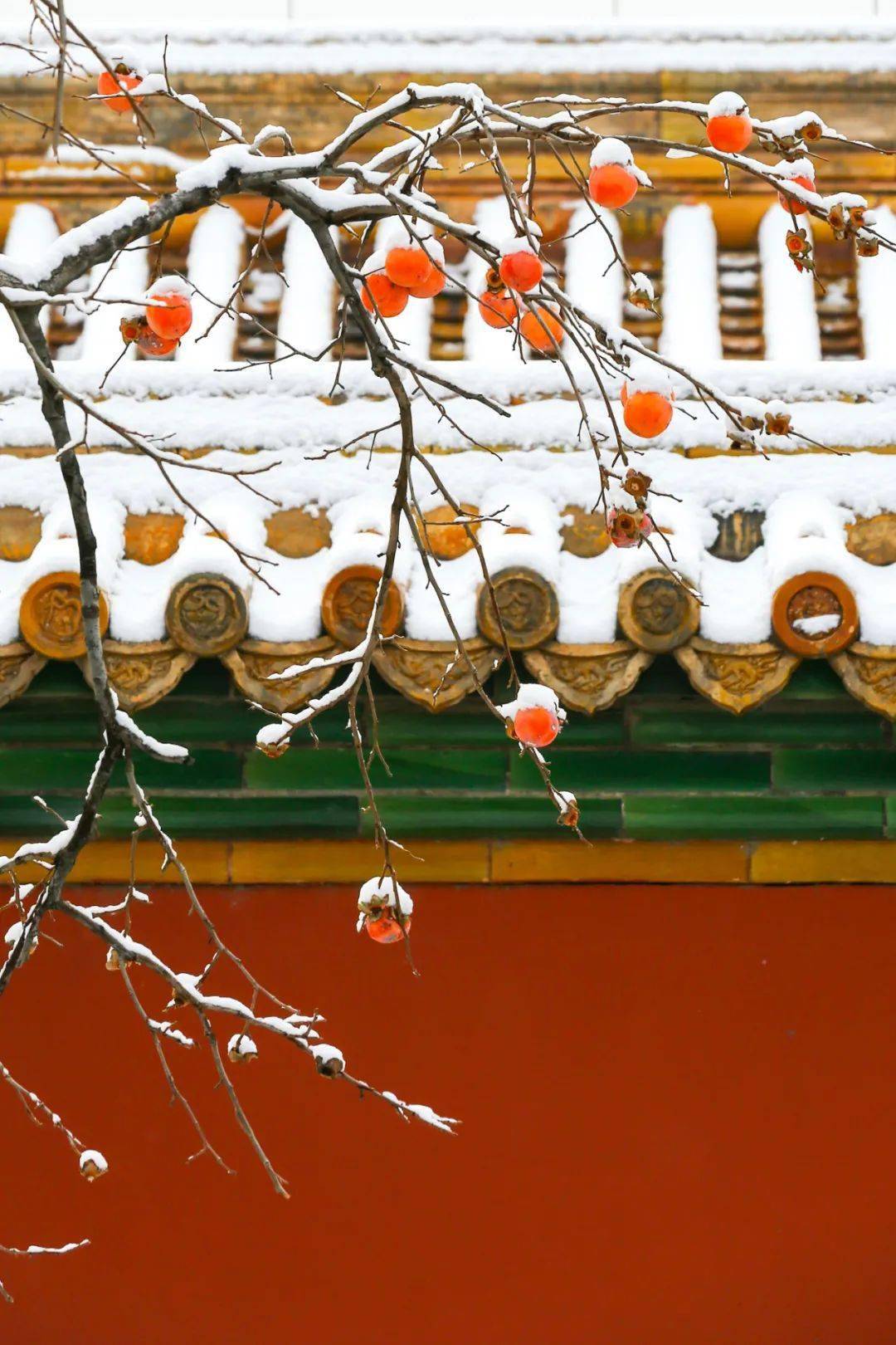 但只要那晶莹的雪花配上这红色的宫墙,故宫就变成了紫禁城.