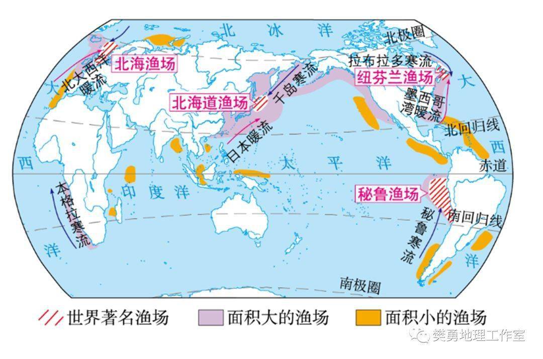 31,注意北海渔场(西欧)与北海道渔场(日本)的区别