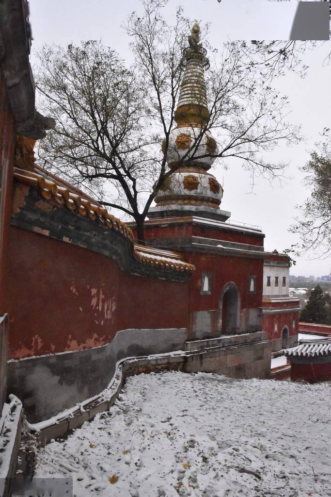 四大部|北京颐和园四大部洲景区雪后风光静好