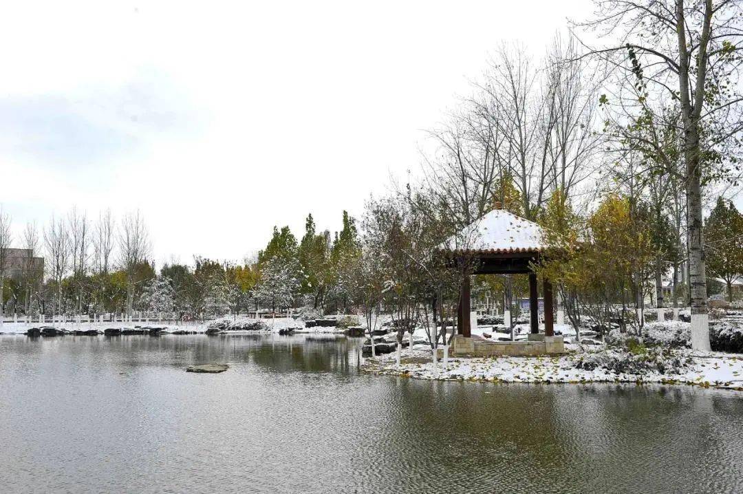 高平的第一场雪,美翻了!_长平