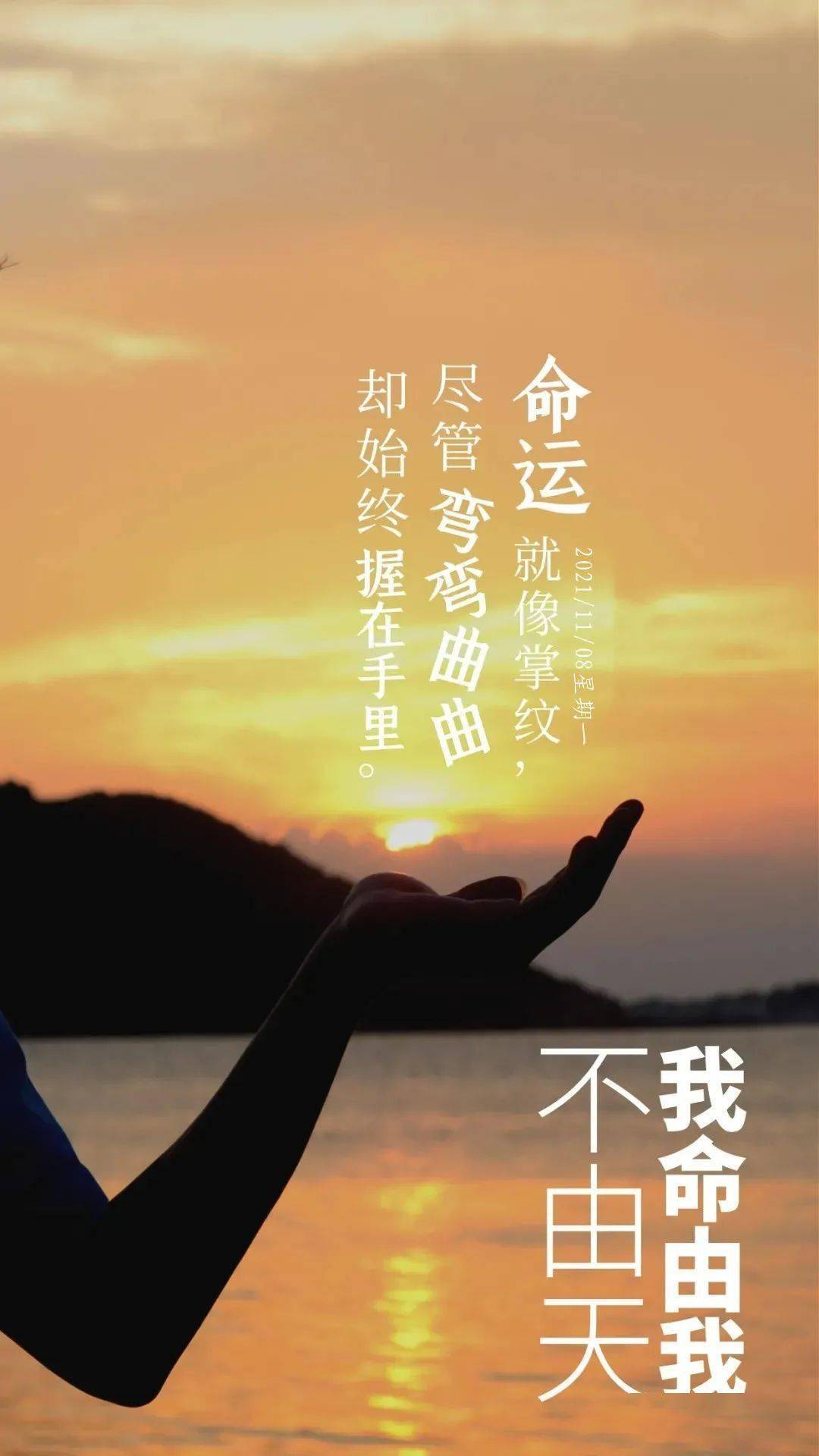 人生到处是惊喜和美好, 不要为了人生路上的一颗绊脚石而不走路, 未来