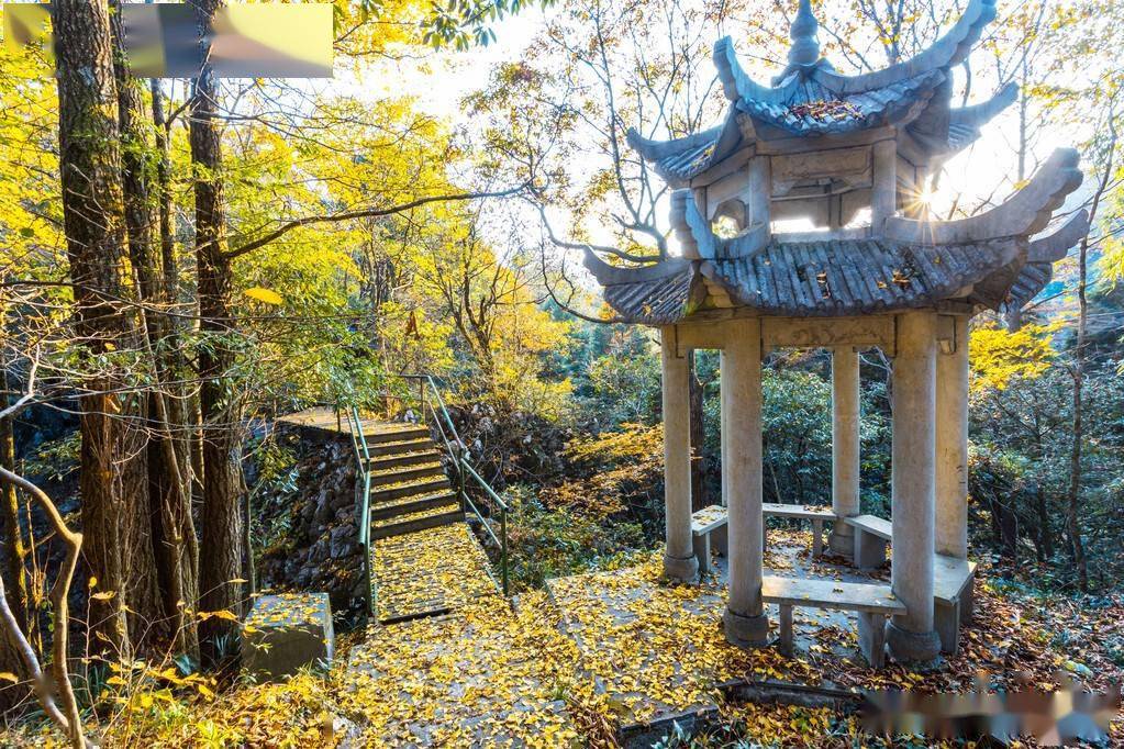 西山晴雪,香山半山亭,正好看红叶