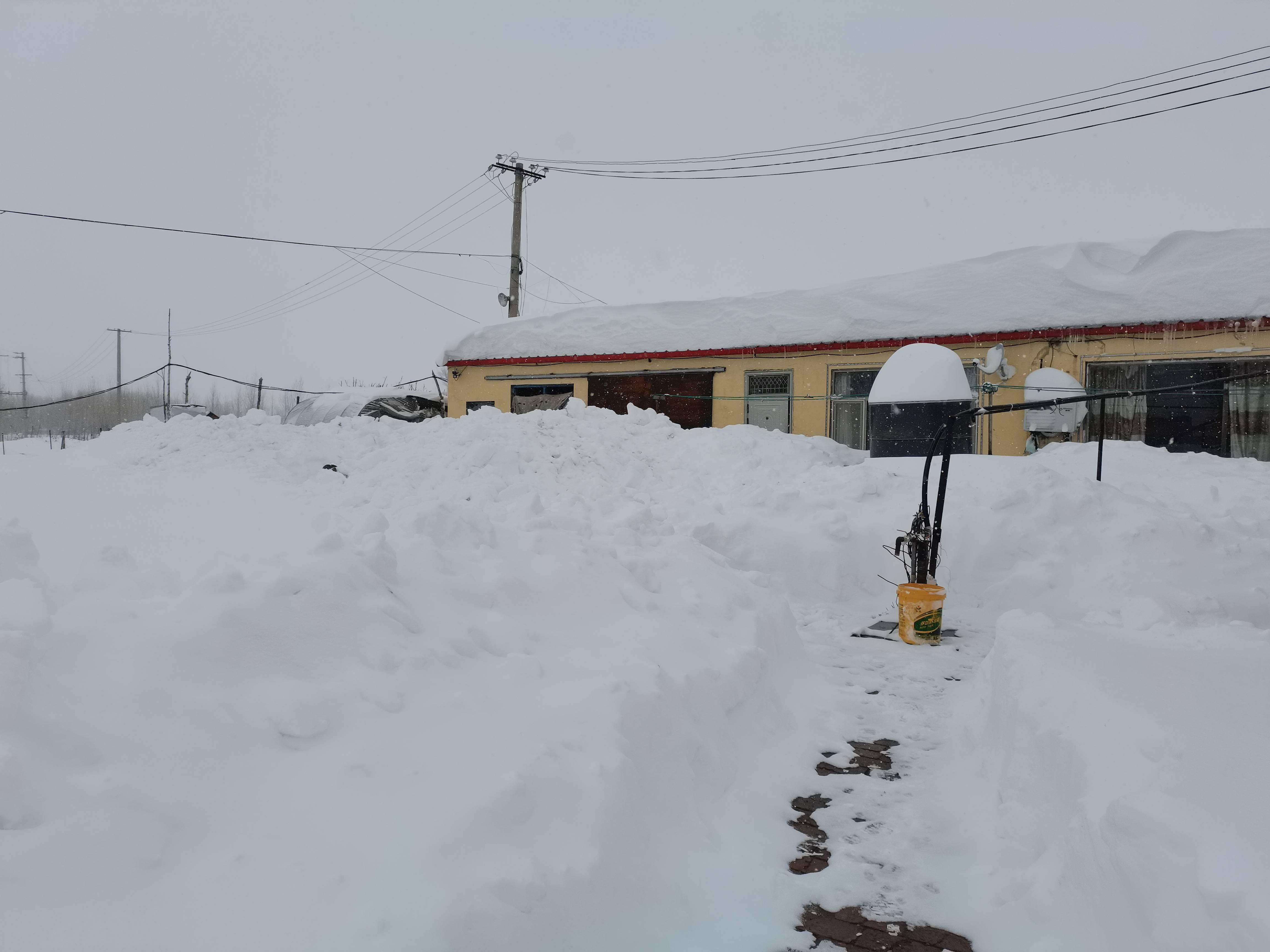 暴雪下的通辽:雪深半米,牲畜棚被压塌,正在进行清雪_积雪