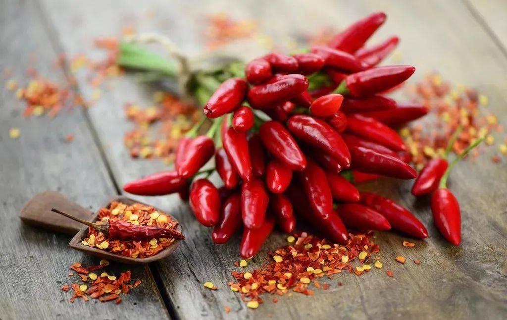 耀州辣椒丨杨五贵_辣子