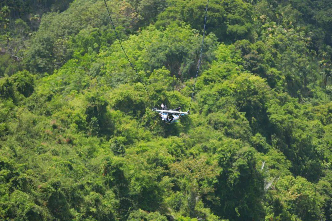 放价到底呀诺达景区推出双十一多重特惠活动