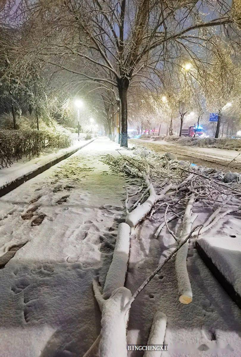 哈尔滨冻雨图片图片