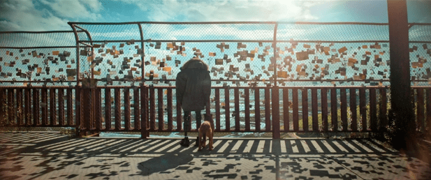 大脑|疲了一年的好莱坞大片，终于硬起来了