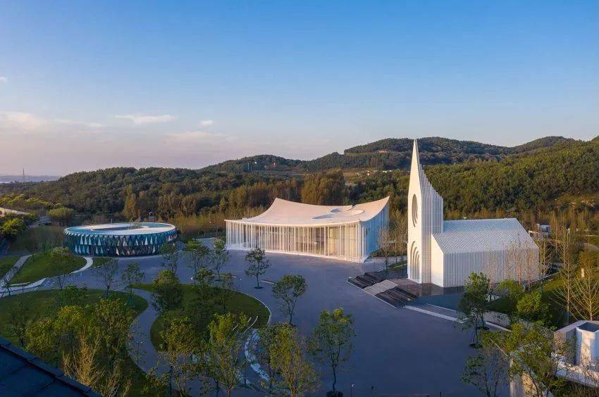 计划|像爱情一样纯粹